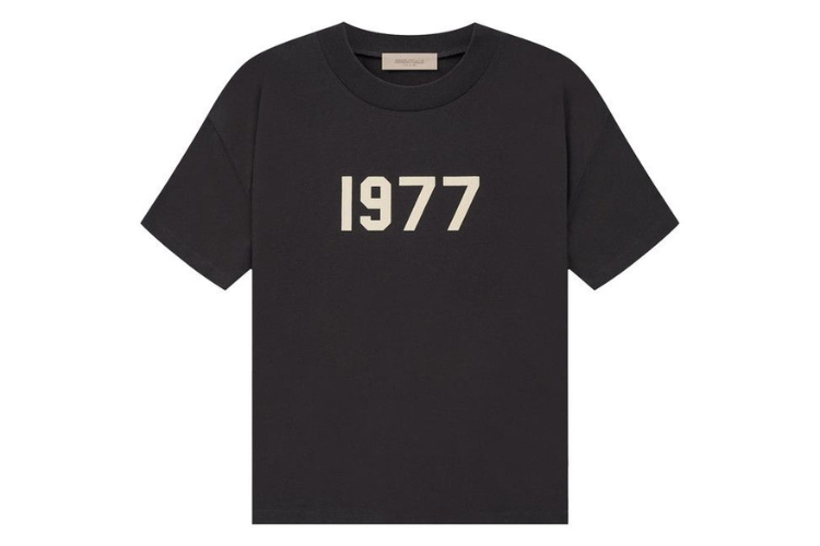 Essentials 1977 T-Shirt Iron