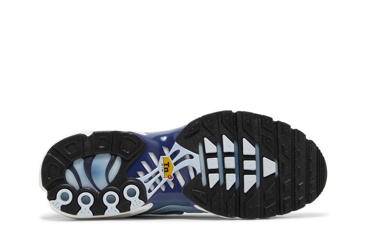 Air Max Plus Celestine Blue