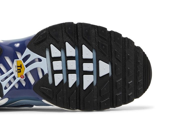 Air Max Plus Celestine Blue