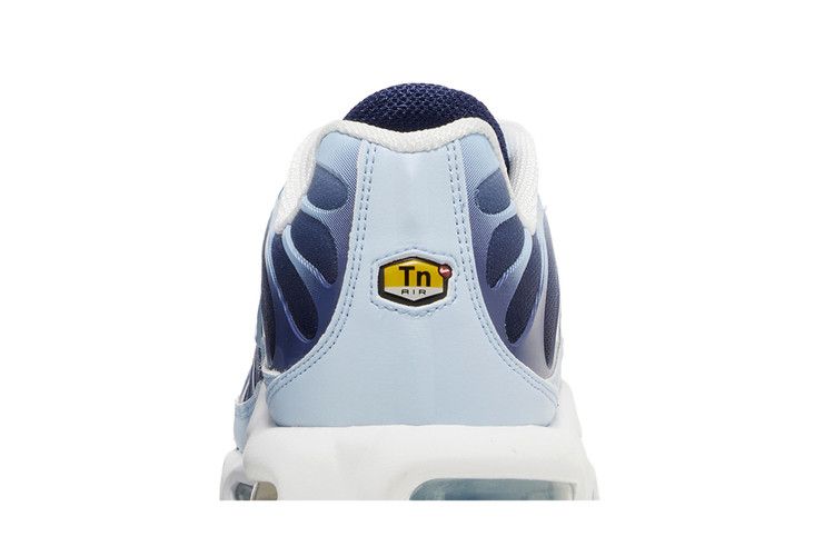 Air Max Plus Celestine Blue
