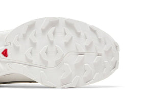 XT-6 GORE-TEX White Silver