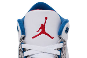 Air Jordan 3 True Blue (2026)